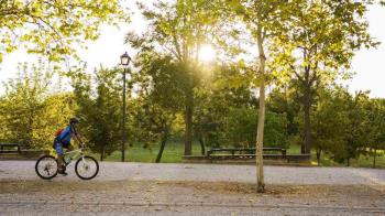 La capital revalida, por cuarto año consecutivo, la calificación A en el ranking de Carbon Disclosure Project