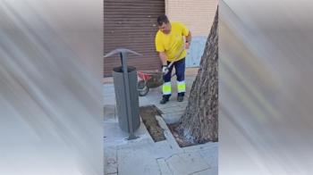 La concejalía de Medioambiente pide a los vecinos civismo para conservar limpio el municipio