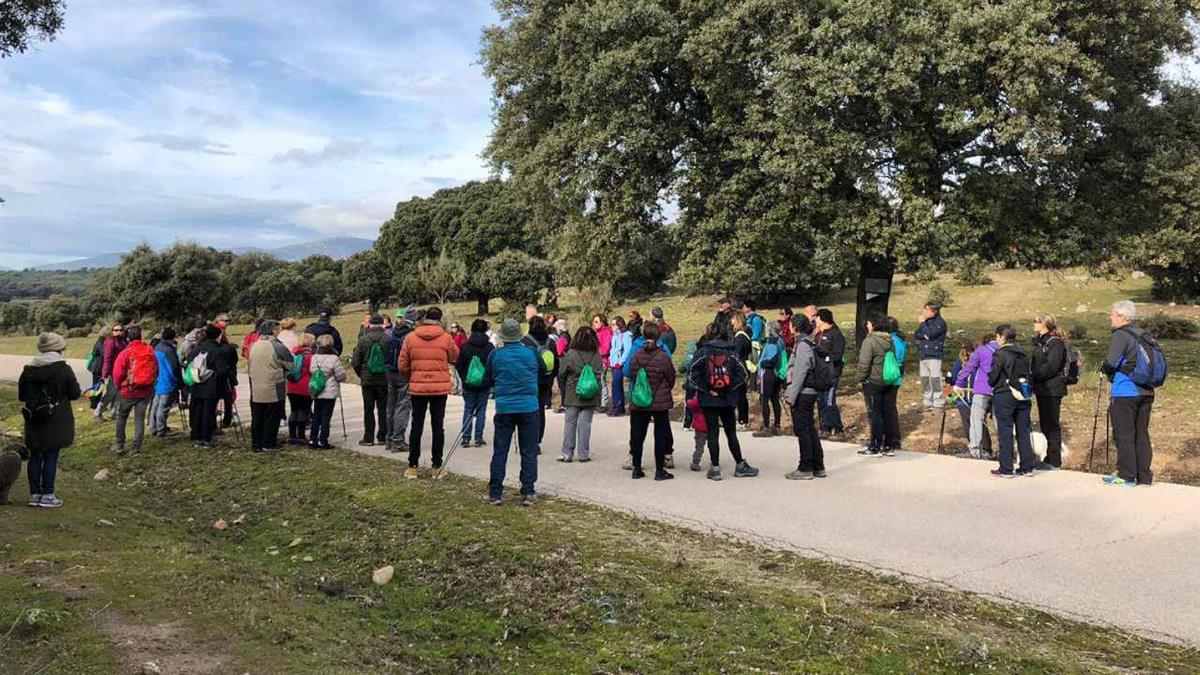 Se ha organizado otra gran Caminata Solidaria contra la Esclerosis Múltiple 