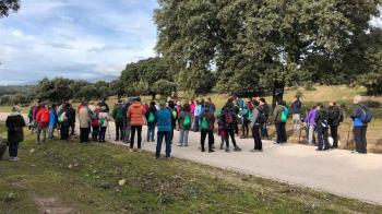 Se ha organizado otra gran Caminata Solidaria contra la Esclerosis Múltiple 