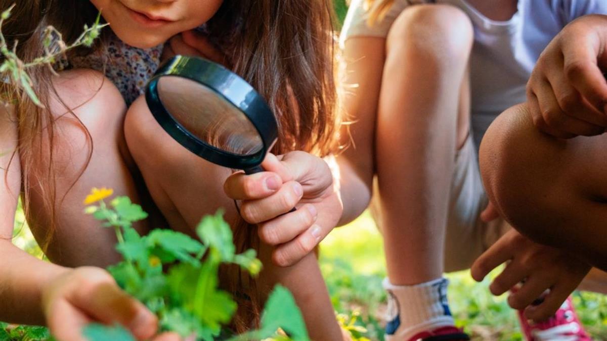 El campamento se dividirá en dos grupos: uno para niños de 5 a 8 y otro para 9 a 11 años