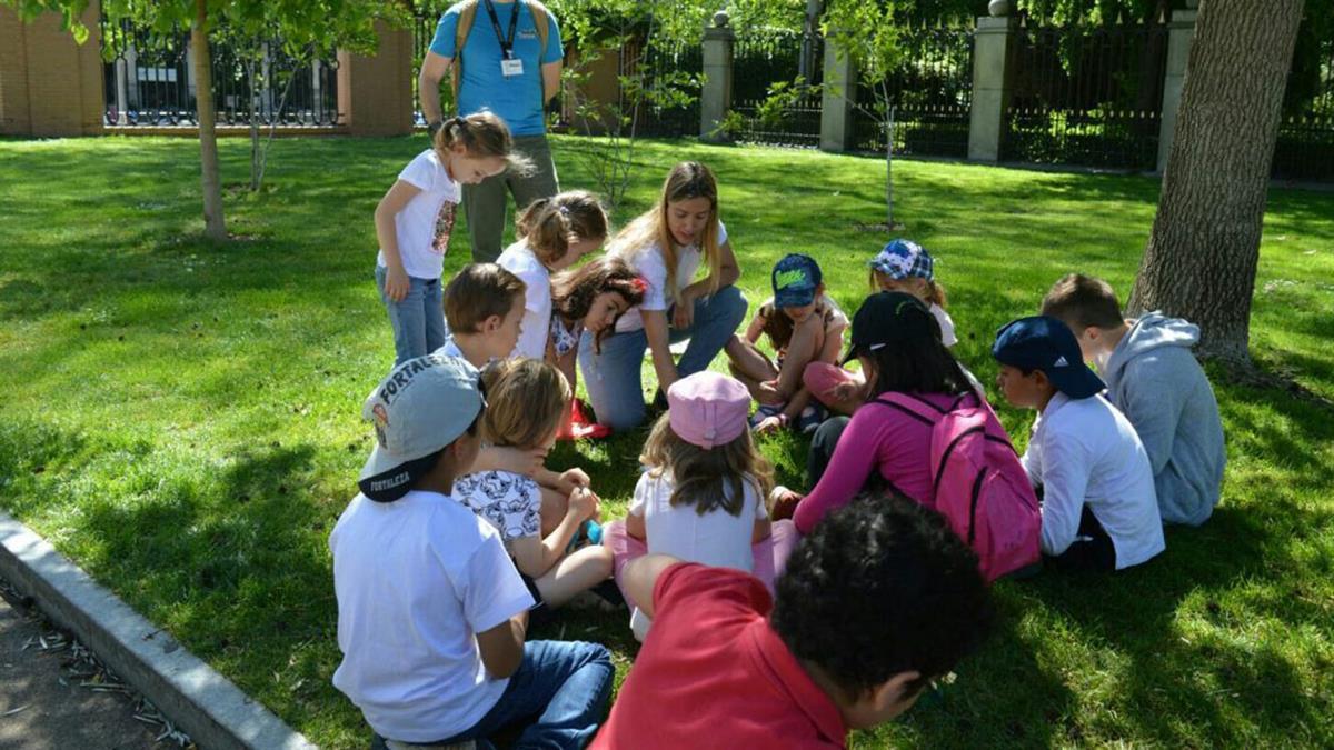 Los Campamentos Escolares de Verano 2022 se desarrollan en los centros escolares y están dirigidos a niños y niñas escolarizados en 2º Ciclo de Educación Infantil y Educación Primaria