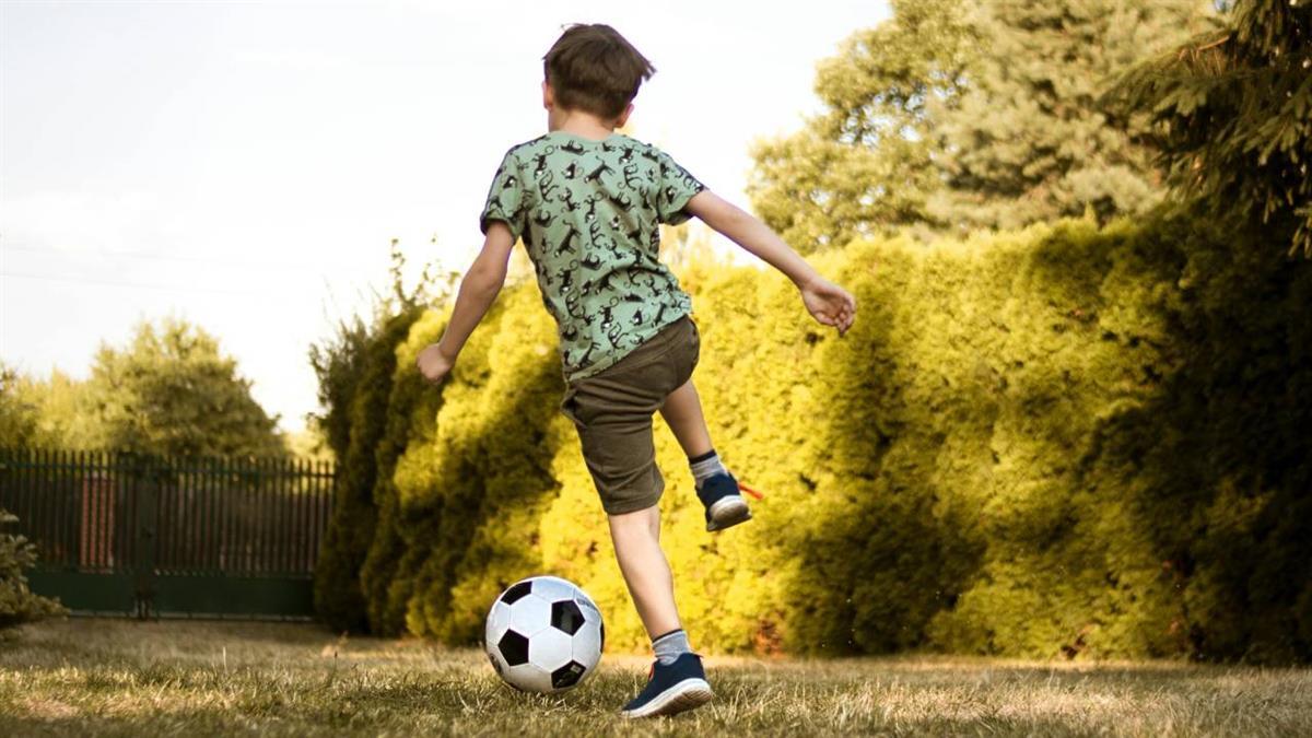 El consistorio oferta un total de 12 opciones para las familias de la ciudad 