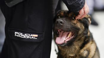 La Campaña Adopta un Héroe de 4 patas busca una jubilación para los perros que han trabajado en los Cuerpos de Seguridad
