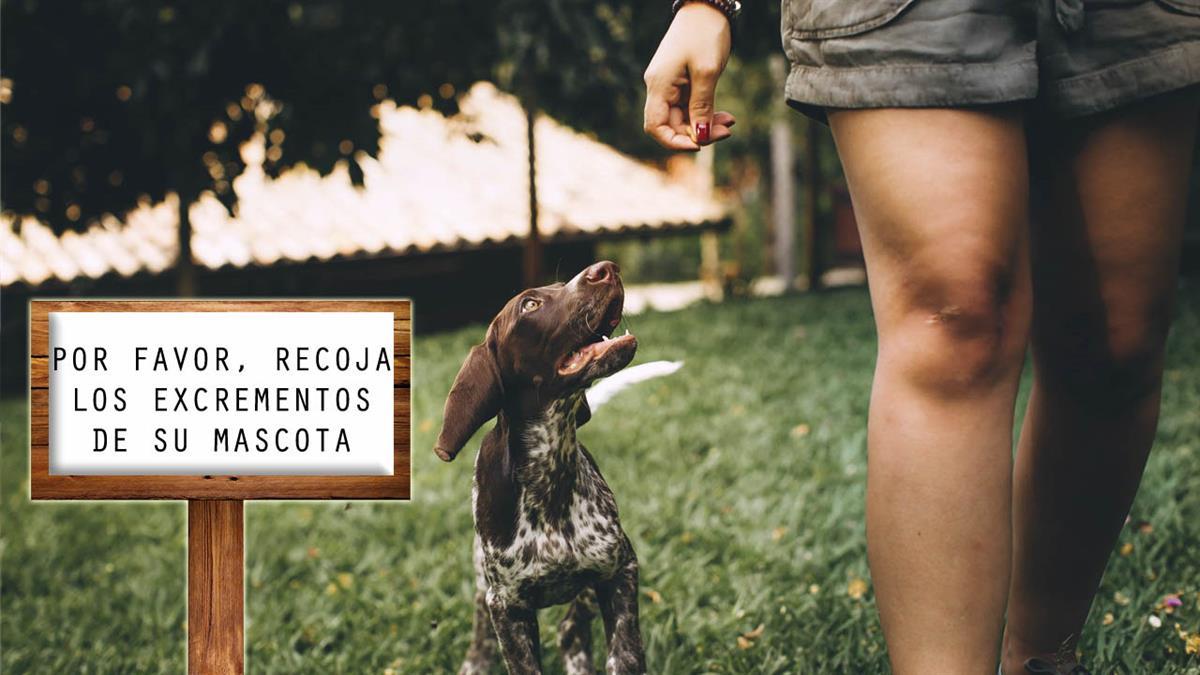 Para recordar a los dueños de los perros que deben cumplir la ordenanza reguladora de tenencia y protección de animales