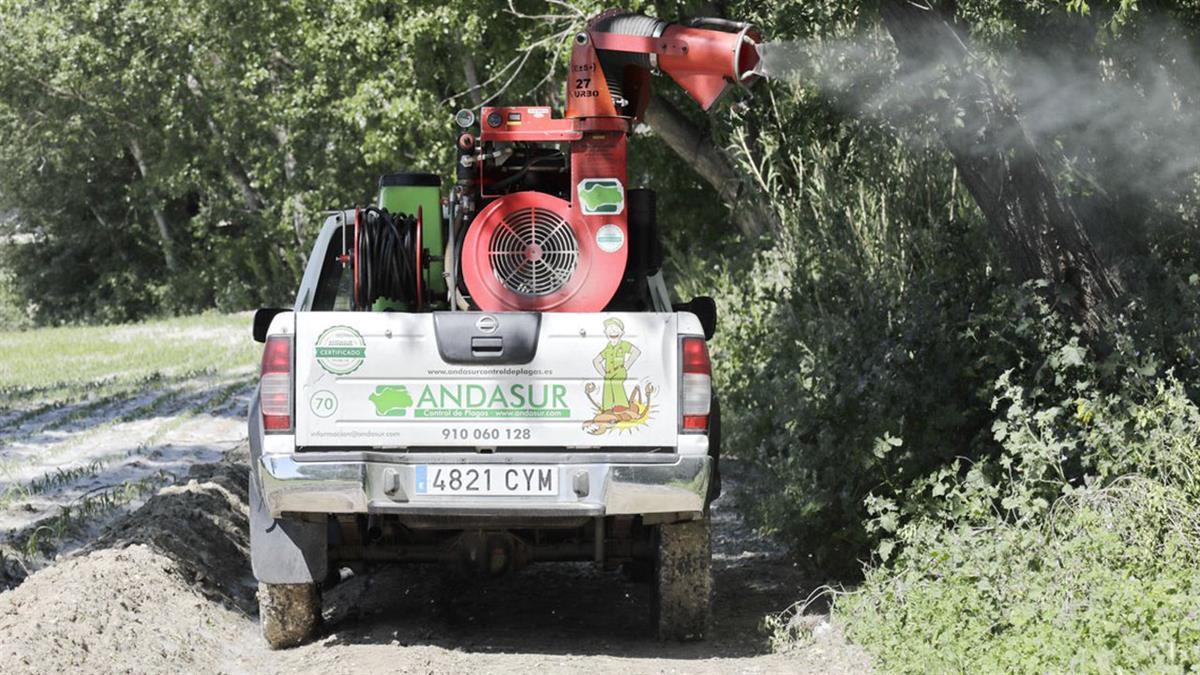El aumento de las temperaturas contempla revisiones y tratamientos semanales sobre las larvas
