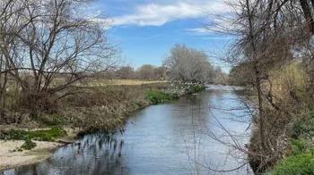 Se han iniciado los tratamientos, en previsión del posible aumento de mosquitos debido a las altas temperaturas y la escasez de lluvia