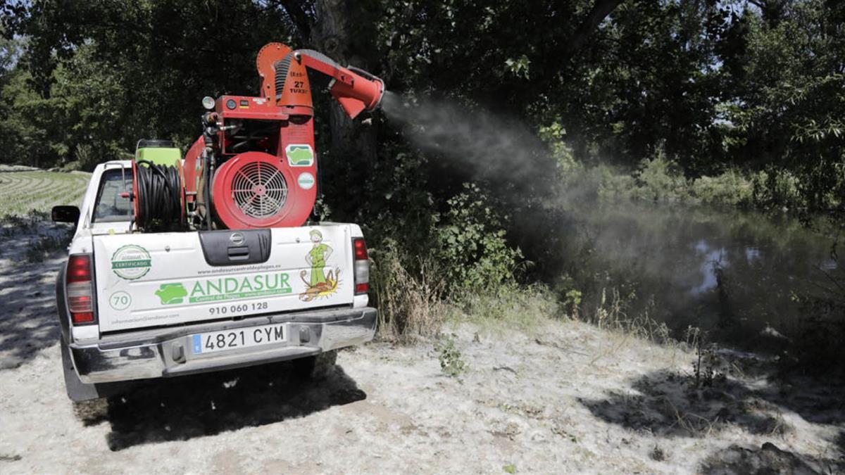 Se realizarán 90 tratamientos larvicidas 