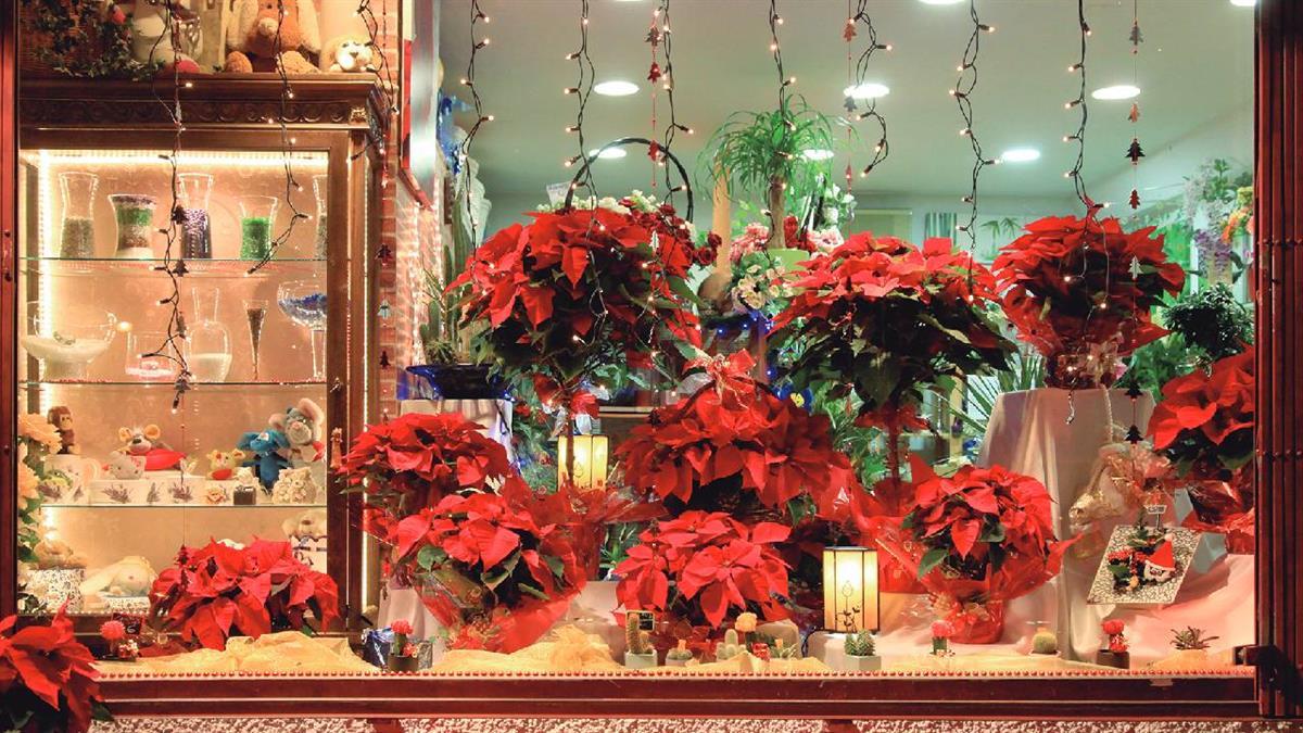 Se desarrollará un completo programa, además del famoso concurso de escaparates