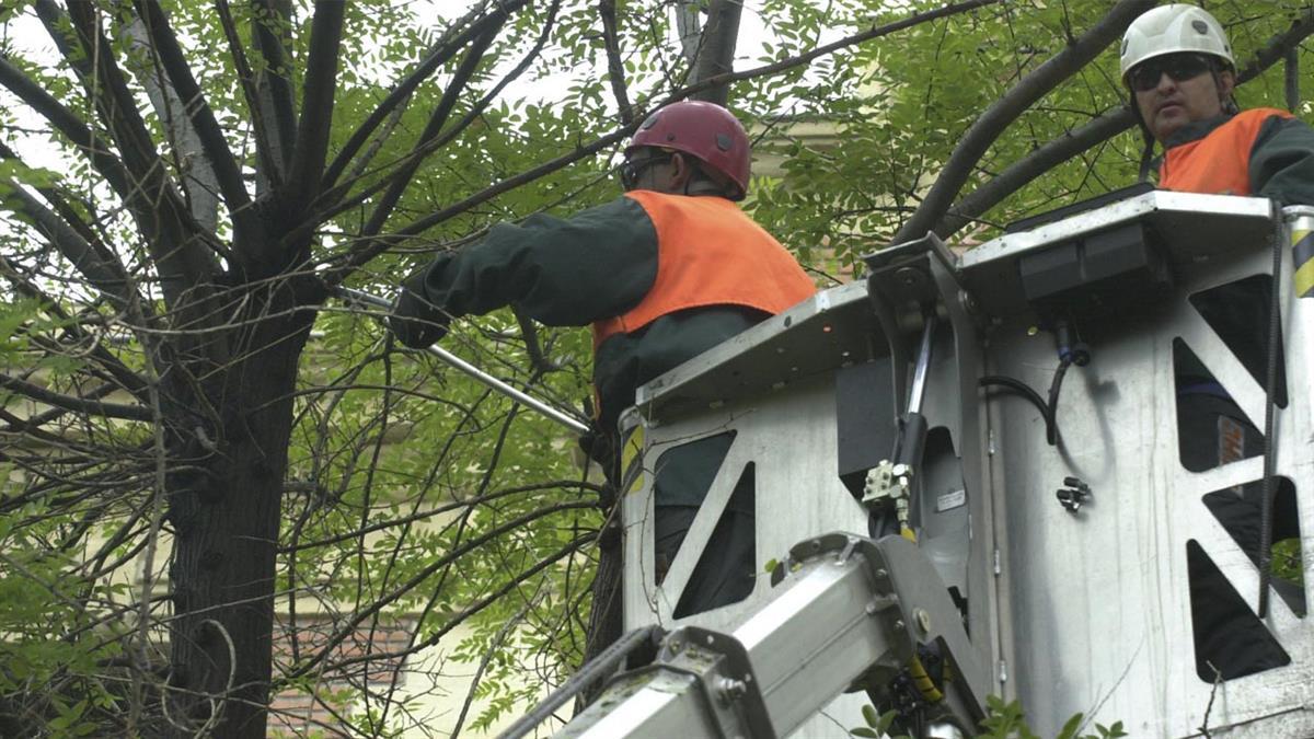 Los trabajos se realizarán de 8 a 14 horas y de 15 a 17:30 horas.