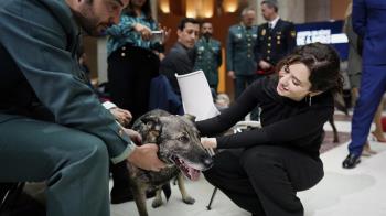 El objetivo es ofrecer un retiro digno a los perros que han prestado servicio en las Fuerzas de Seguridad del Estado