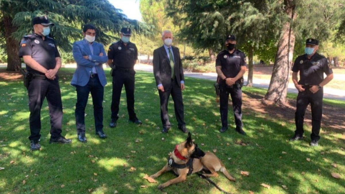 Los agentes velarán por el cumplimiento de las medidas anticovid y el buen uso de las zonas