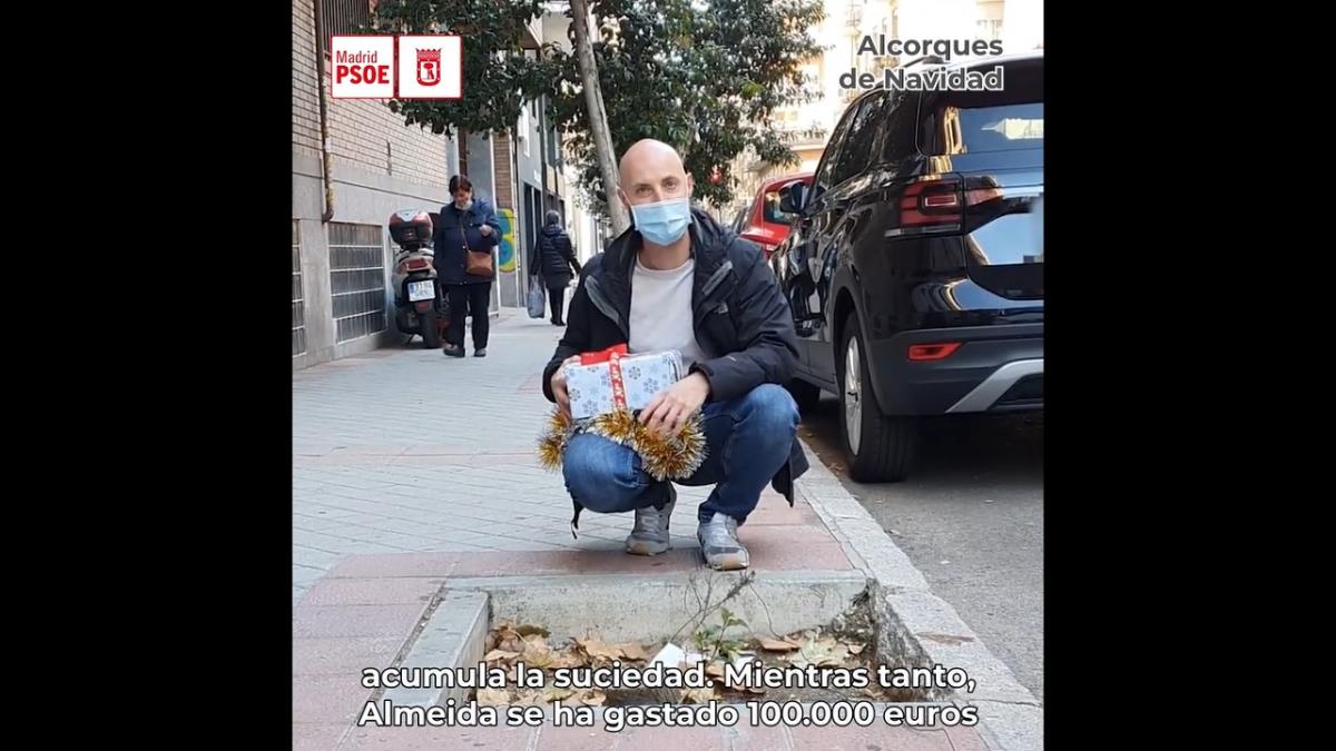 El grupo socialista denuncia la "incapacidad del Gobierno municipal de dar una solución” a los 20.000 alcorques vacíos 