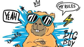 La capibara es la encarnación de la tranquilidad. Mientras el mundo entero entra en pánico