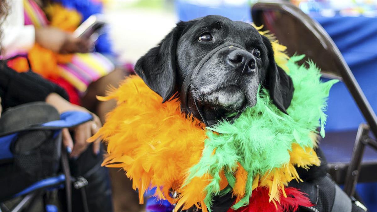 Unos días llenos de actividades culturales