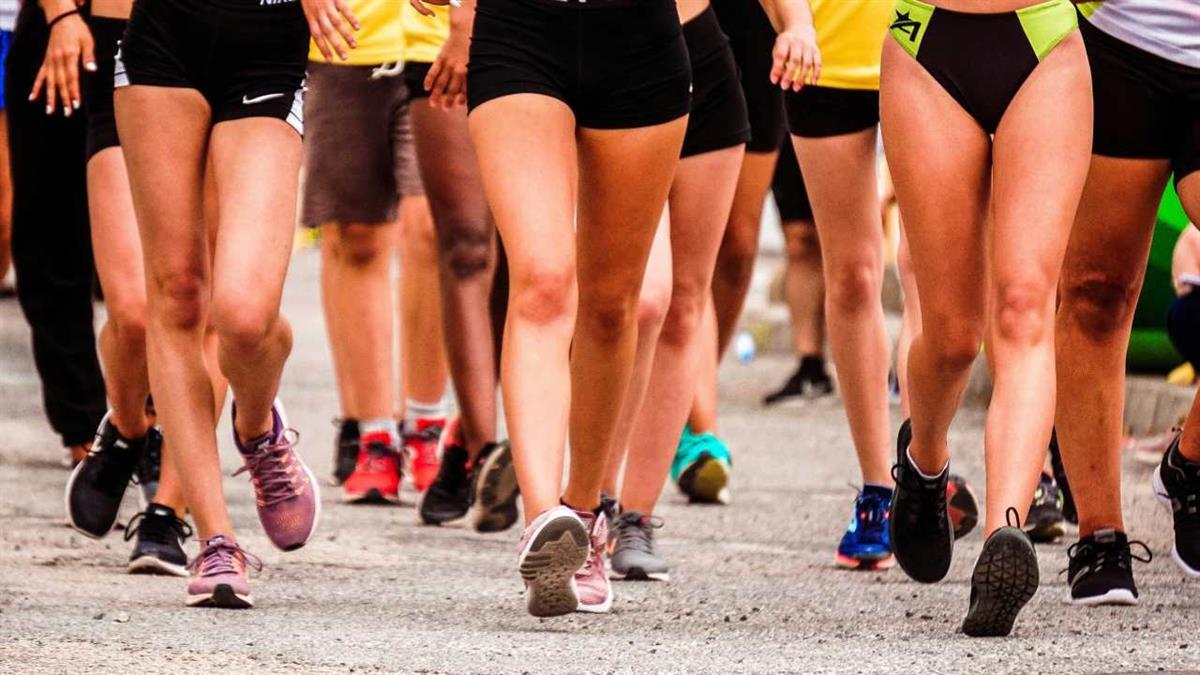 Se celebrará el próximo 23 de noviembre 