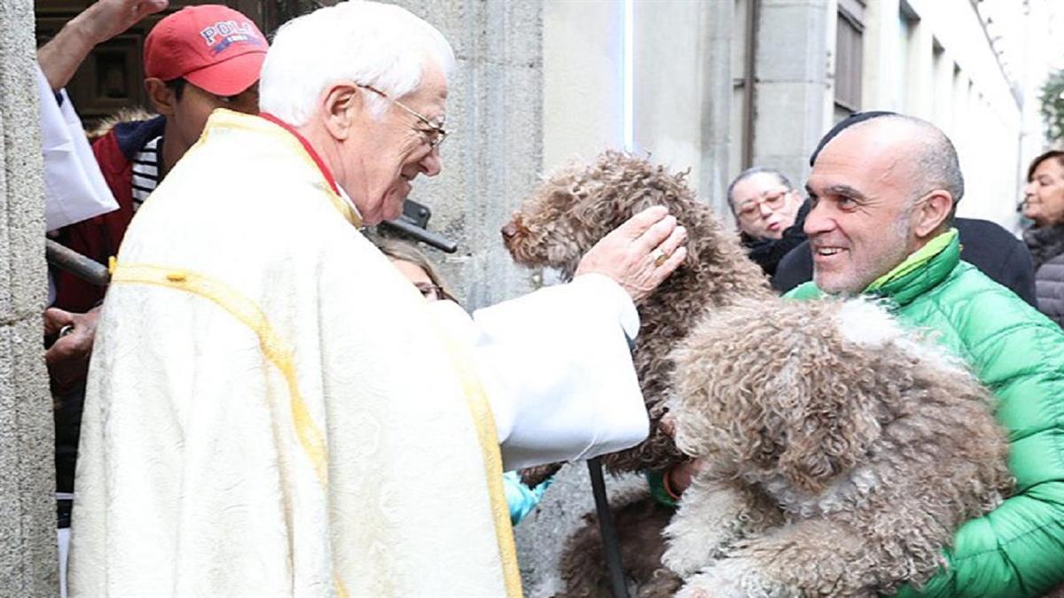 Junto con otras actividades este fin de semana, el sábado 15 abrirá sus puertas el Centro de Protección Animal 