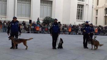 
La Sección Canina de la Policía Municipal de Madrid, encargada de la lectura del pregón de San Antón