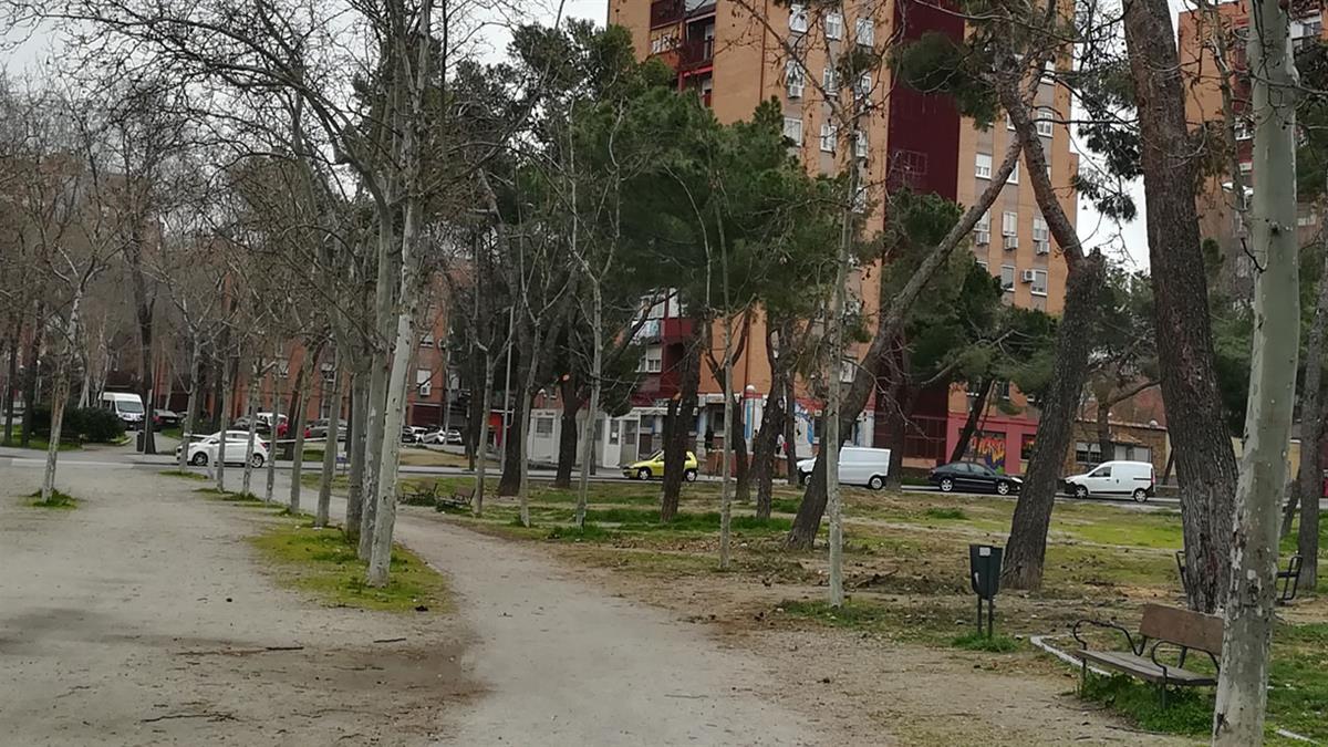 También se han detectado otros diez caninos moribundos en un piso de este barrio de Vallecas 