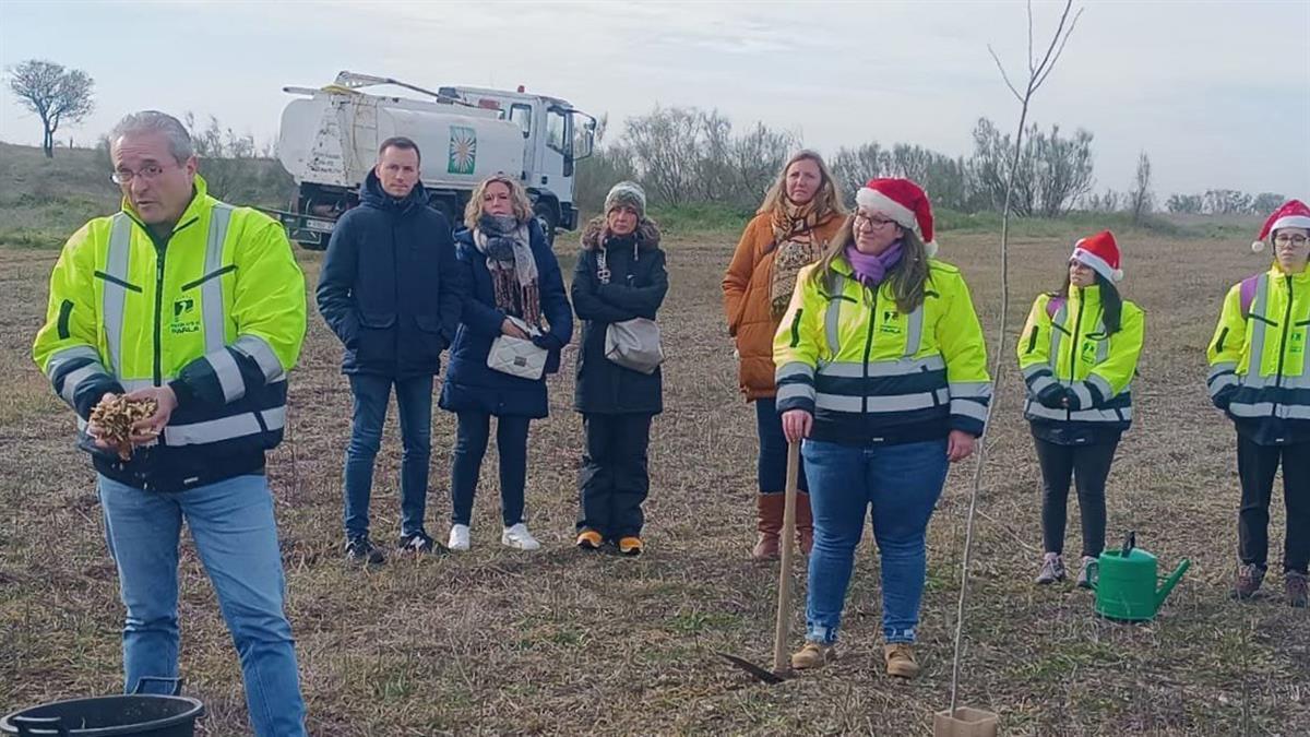 Los participantes plantaron alrededor de 200 árboles en el Cerro de la Cantueña