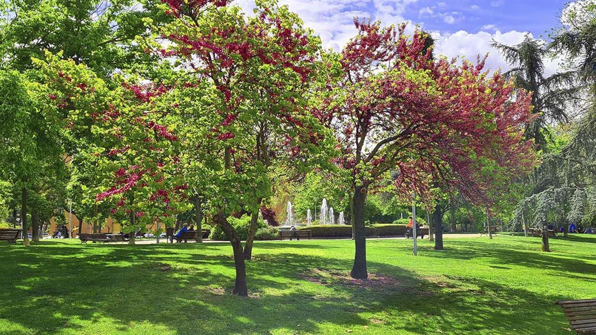 El ayuntamiento ha aprobado el proyecto de creación de este espacio 