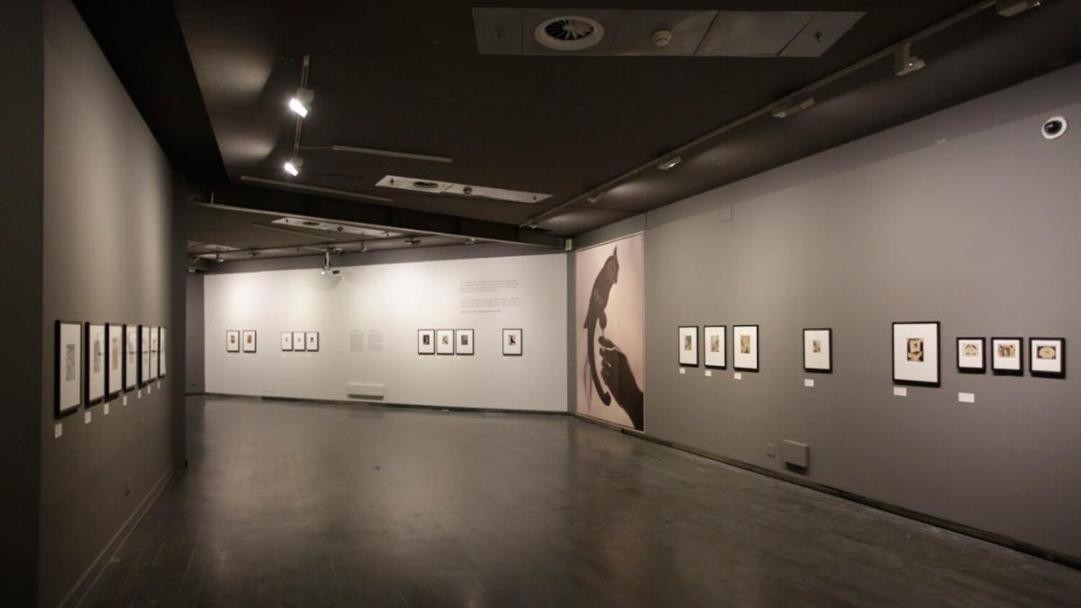 La retrospectiva 'Black Light' estará abierta hasta el 26 de septiembre