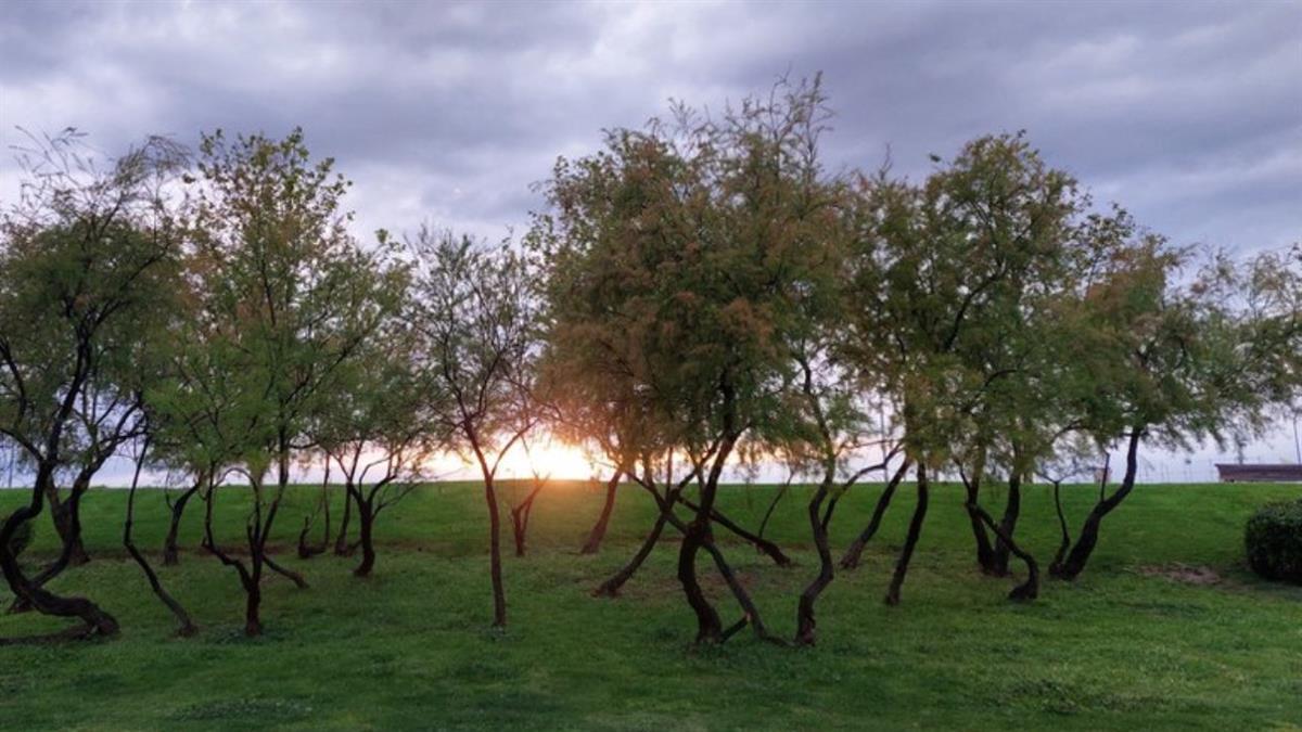 El Ayuntamiento de Parla abre las inscripciones al concurso 'Parla, mi ciudad'