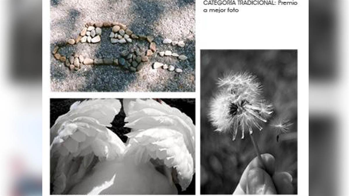 Se trata de la edición XXIII de esta fotomaratón gratuita