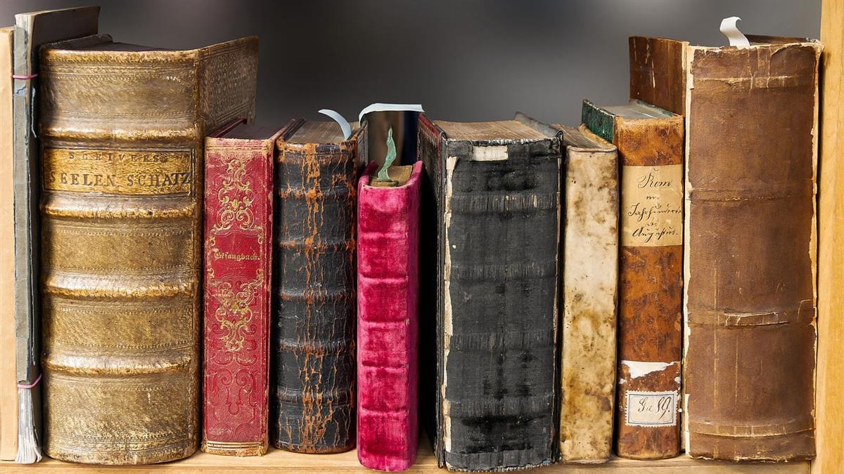 Podrán participar las personas que lo deseen desde los 7 años 