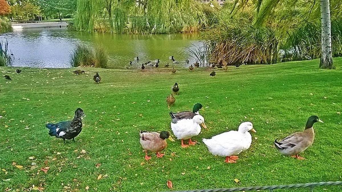 La temática del concurso estará focalizada en el Parque del Universo