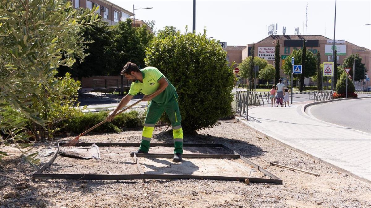 El Ayuntamiento mejora las medianas entre carretera de Majadahonda y el jardín de olivos de la calle Isabel II