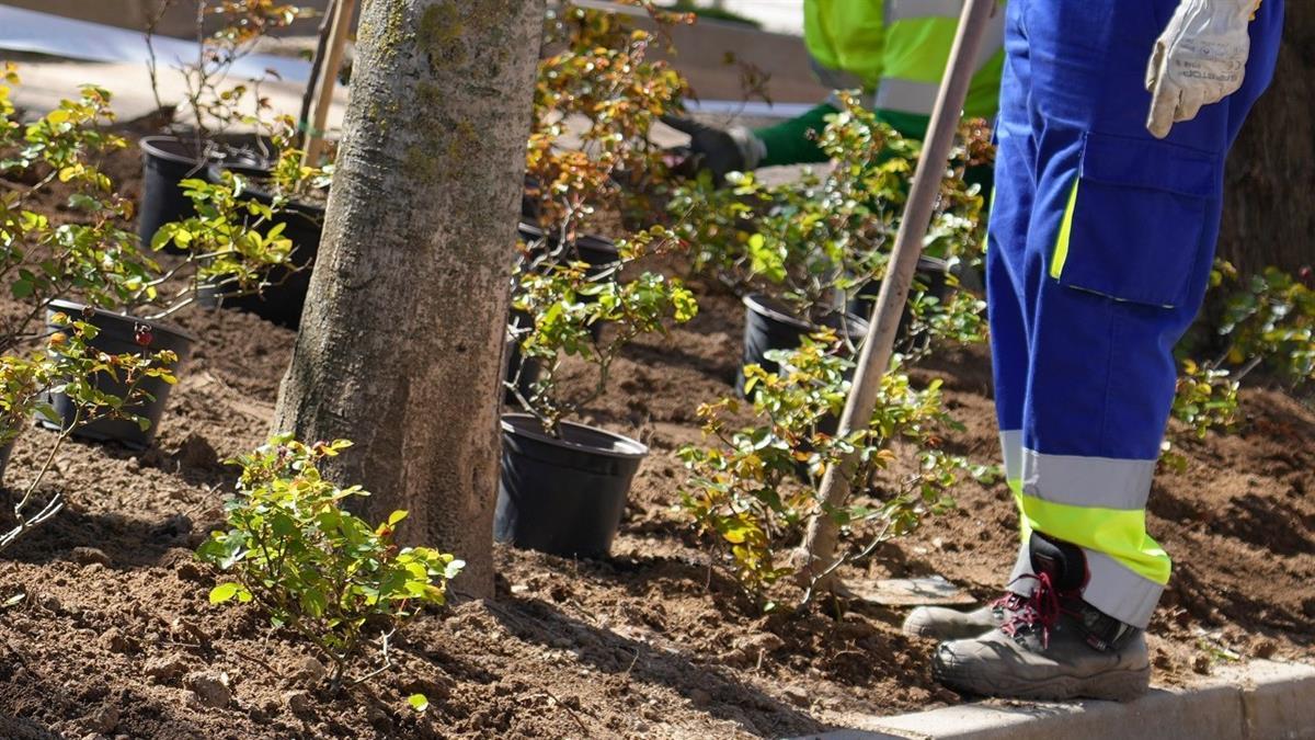 Desde el Ayuntamiento han señalado que "hace más de dos décadas que no se llevaban a cabo actuaciones de esta envergadura"