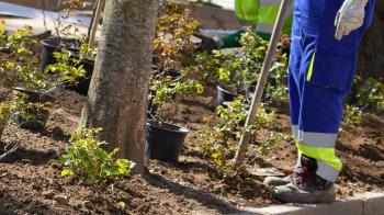 Desde el Ayuntamiento han señalado que "hace más de dos décadas que no se llevaban a cabo actuaciones de esta envergadura"