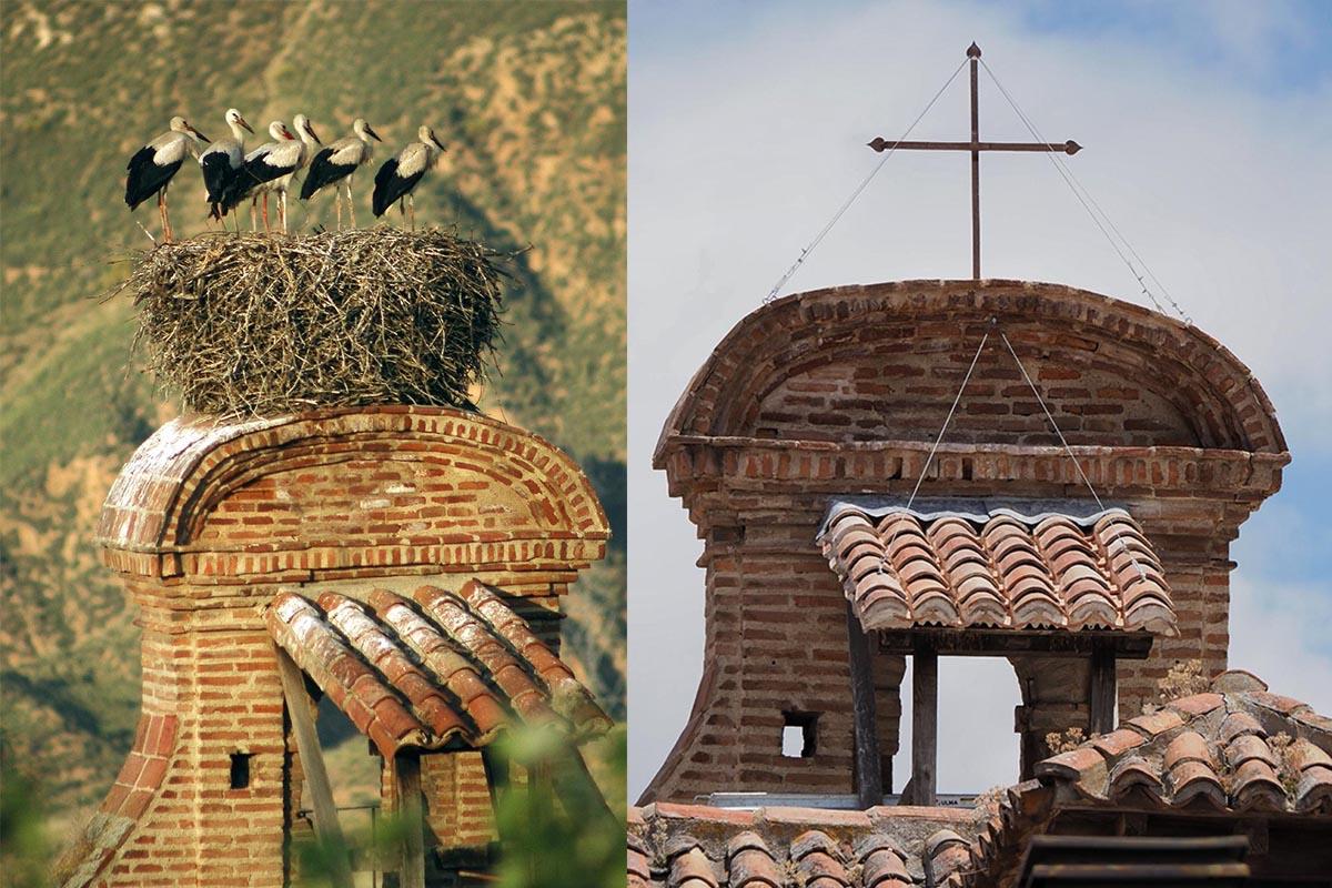 La cigüeña blanca es una especia catalogada como vulnerable