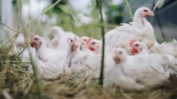 El gobierno local ha compartido una serie de medidas para las zonas limítrofes al brote 