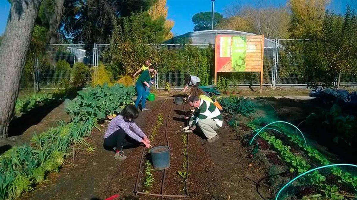 El proyecto ‘Programa 3C: Cultivemos el Clima y la Comunidad’ tiene fecha de arranque en octubre