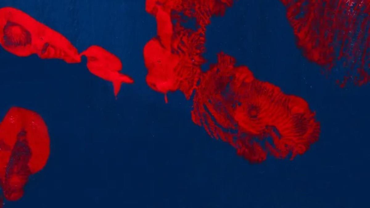 ‘Ciencia + Arte’ explora la relación entre diversas disciplinas