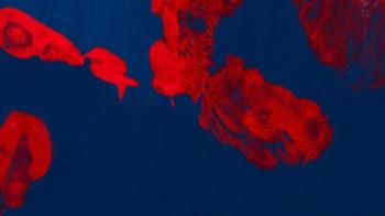 ‘Ciencia + Arte’ explora la relación entre diversas disciplinas