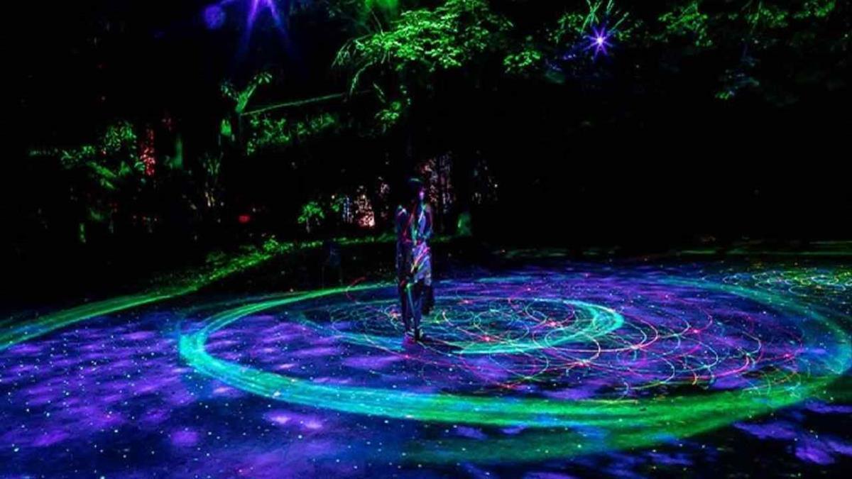 Los espectadores han podido disfrutar de 29 espectáculos de humor, música y títeres