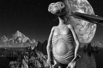 Las proyecciones tendrán lugar en la Plaza de Toros a las 22:30 horas los viernes y sábados y a las 22:00 horas los domingos