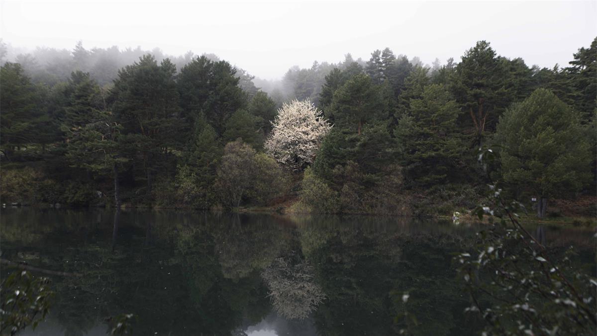 La fotógrafa Circe Ervina exhibe su obra en el Villa de Móstoles 