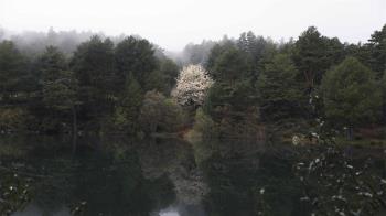 La fotógrafa Circe Ervina exhibe su obra en el Villa de Móstoles 