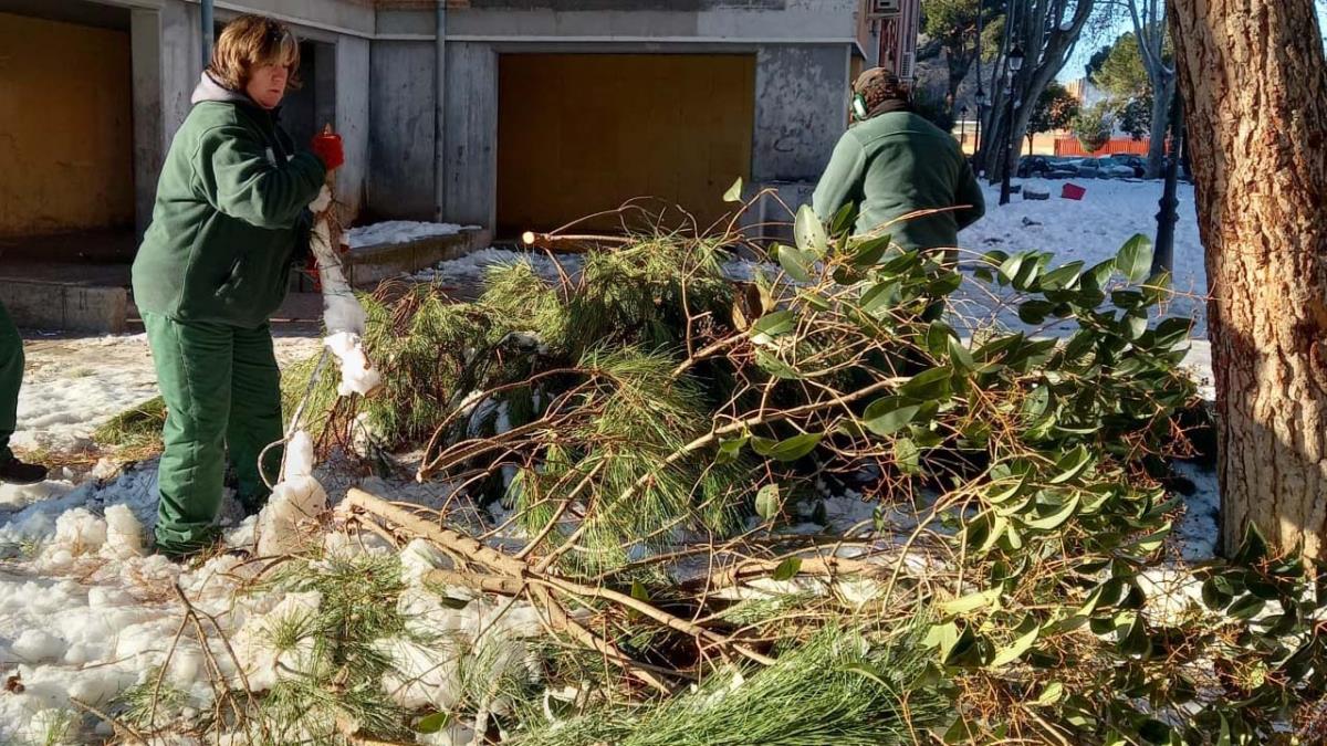 Con este reconocimiento los más afectados podrán acceder a ayudas para reparar los daños causados por la nevada