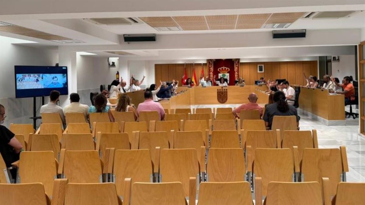El Pleno aprobó por unanimidad la Declaración Institucional impulsada por Más Madrid