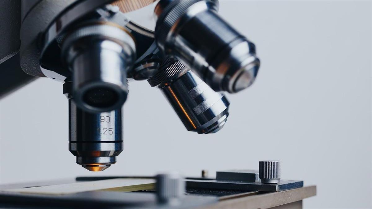 Acércate al Club de Ciencia de Boadilla y prepárate para disfrutar de todas sus actividades