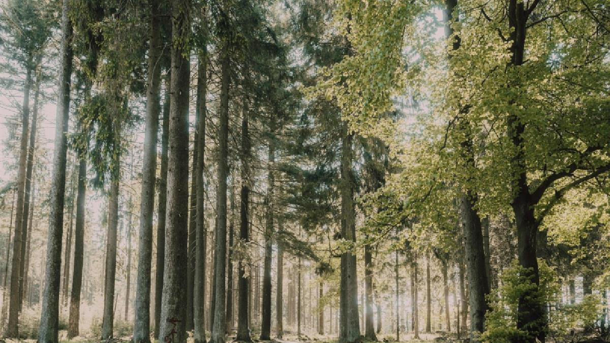 El 22 y 23 de marzo las Aulas de Naturaleza organizan diversas actividades gratuitas