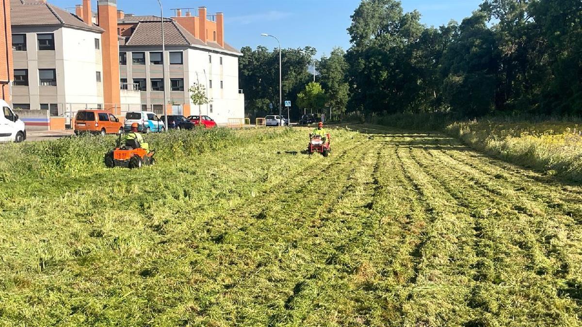 Los trabajos comenzaron el pasado mes de mayo, con el fin de minimizar el riesgo por incendios forestales