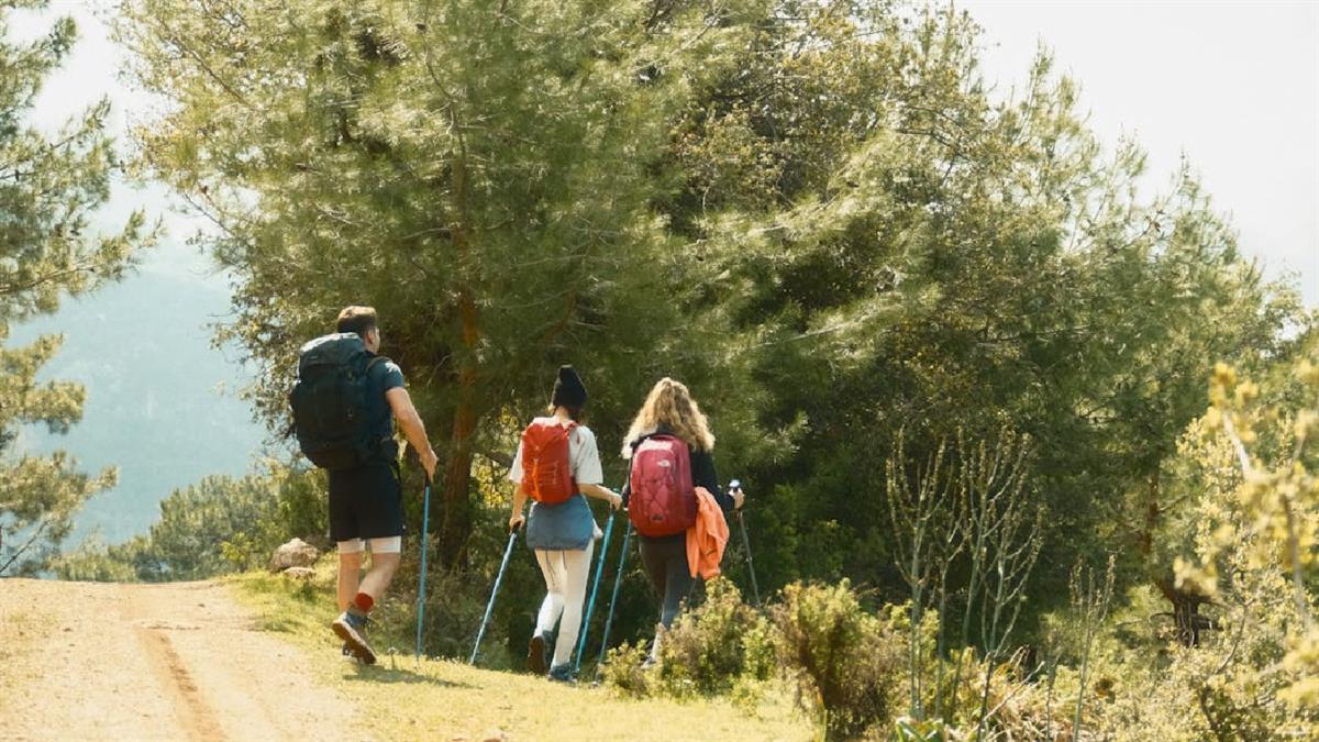 “Excursión en familia”, jornada campestre y escalada