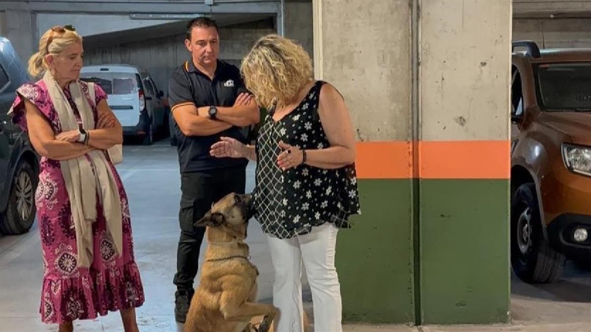La localidad fue el escenario del entrenamiento especial de las unidades caninas
