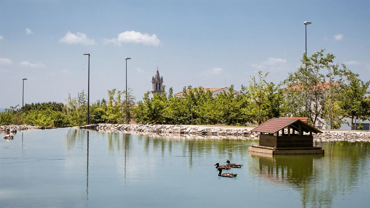 El Ayuntamiento confía de nuevo en ACCIONA, que presta servicio desde 2018, para el nuevo contrato de mantenimiento por 4 años 